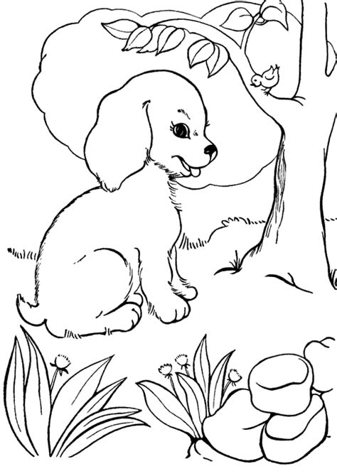 dog  puppies coloring page  print dor  dog  puppies