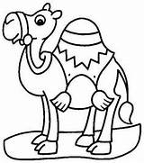 Coloring Pages Camel Bible Camels Printable Nativity sketch template