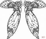 Fairy Wings Coloring Illustration Pages Printable Drawing Clip Clipart Drawings sketch template