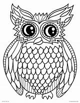 Coloring Owl Pages Printable Kids Adults Bird Animals Night Nature Cartoon sketch template