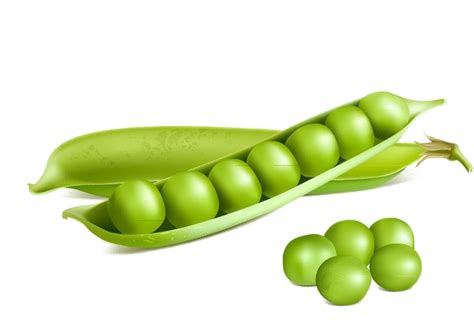 pea png   png  png