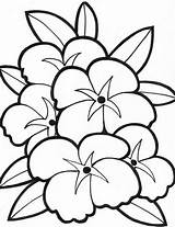 Coloring Pages Flower Simple Easy Seniors Printable Clipart Library Quilt sketch template