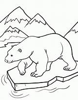 Polar Bear Coloring Pages Drawing Printable Animal Colouring Arctic Animals Cub Bears Sheets Kids Outline Print Everfreecoloring Cute Baby Colorir sketch template