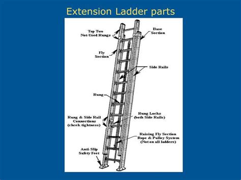 ladder safety  construction powerpoint  id