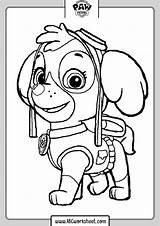 Patrol Paw Skye Canina Patrulha Escolha Desenho Acessar sketch template