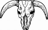 Skull Bull Drawing Texas Longhorn Vector Stock Clipart Line Clip Drawings Cliparts Library Paintingvalley Clipartmag Cattle Getdrawings Favorites Add sketch template
