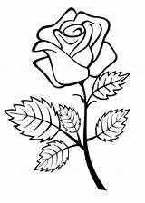 Coloring Calcar Faciles Rosas Planta Dibujosparacolorear Bonitos Especies Indiaparenting Mundo Ar Clic Género sketch template