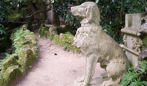 ancient dog breeds   theyre   extinct dogs