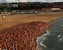 Image result for Bondi Beach Spencer Tunick. Size: 63 x 50. Source: www.dailymail.co.uk