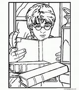 Potter Hedwig Coloringpagesonly sketch template