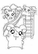 Hamtaro Hamster Pages Ausmalbilder Schattige Hamsters Coloriage Coloriages Animaux Ham Ausmalbild Animaatjes Colorier Uitprinten Downloaden Terborg600 sketch template