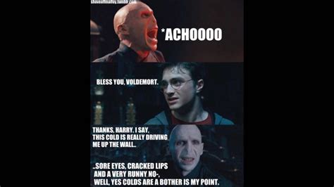 Harry Potter Memes How To Piss Off Voldemort Wattpad
