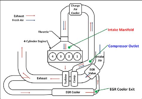 illustration    pressure loop external egr system     scientific