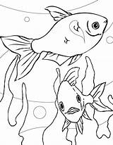 Acuario Kolorowanki Coloring Dibujos Ryby Tetra Fishes Acuarios Peces Zwierzęta Ausdrucken Ausmalen Fische Symphysodon Nannostomus Kolorowania Rybki Pintarcolorear sketch template