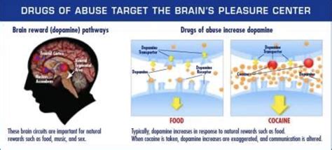 three keys to unlock the nature of addiction for relapse prevention