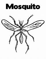 Mosquito Coloring Pages Kids Printable Bingo Color Vector Getcolorings Print Getdrawings Bestcoloringpagesforkids sketch template