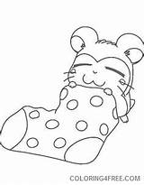 Coloring4free Hamster Coloring Pages Cute Sleeping Related Posts sketch template