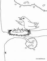Bird Nest Coloring Pages Drawing Hellokids Color Sheet Print Baby sketch template