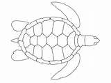 Tortugas Tartaruga Aboriginal Turtles Templates Sheets Sponsored Gratistodo sketch template