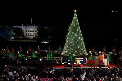 watch live 2016 national christmas tree lighting ceremony