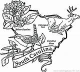 Carolina Symbols Coloring South State Pages North Map Printable Color Usa Flag Southa Getcolorings Getdrawings Template Coloringpages101 Print Comments sketch template
