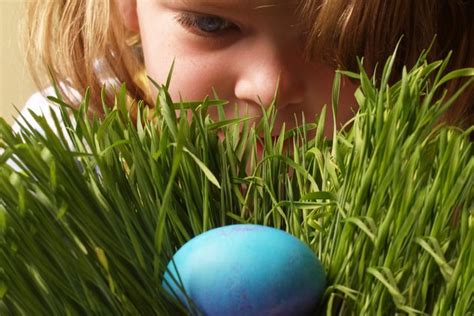 good egg hunts easter hunts  activities  kids  greater seattle