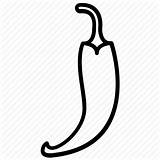 Chilli Icon Vegetable Yumminky Drawing Pepper Vegetarian Paprika Hot Getdrawings sketch template