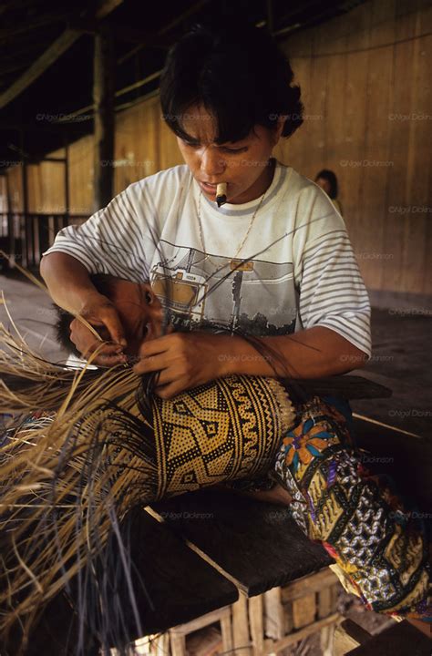 Indigenous Dayak Tropical Rainforest Malaysia Sarawak