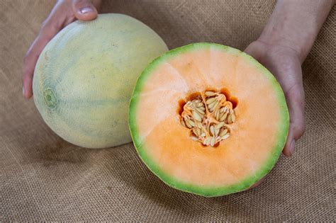 sweetest cantaloupe varieties  grow    seeds