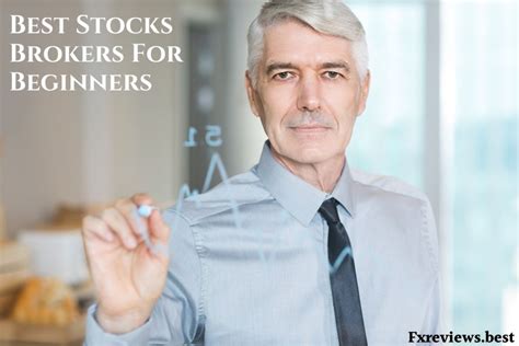 top  stock brokers  beginners fxreviewsbest