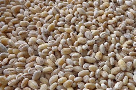 barley rice view specifications details  naanayam stores theni