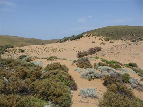 desert en grece dunes de katalakos ile de lemnos grece photo  katalako  limnos greececom