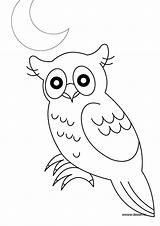 Hibou Coloriage Hiboux Animaux Coloriages Imprimer Chouette Owls Foret Forêt Oiseau Précédent sketch template