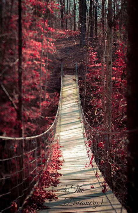 Nature Photography Landscape Art Surreal Red Decor Romantic