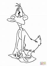 Daffy Pato Colorear Confused Confundido Looney Tunes Droopy sketch template