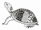 Turtle Zentangle Getekend Schildpad Coloring Choose Board Pages Doodle sketch template