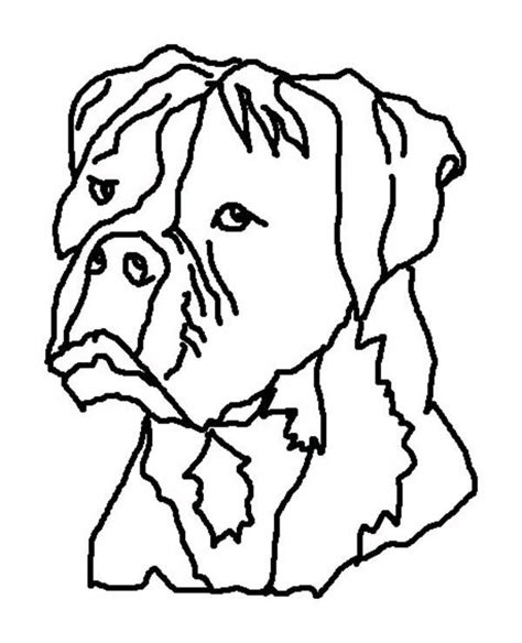 pin  boxer dog coloring pages