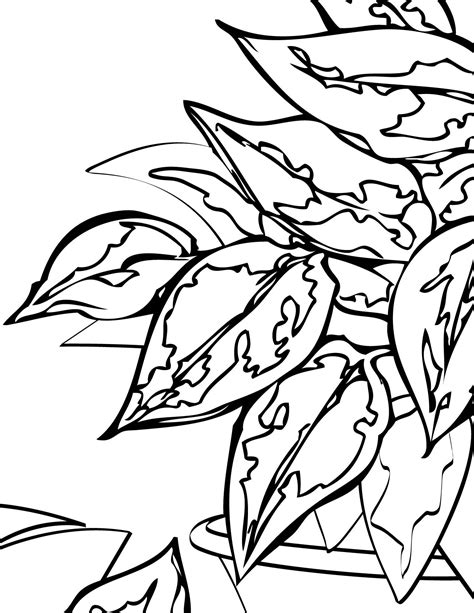 plant coloring pages    print
