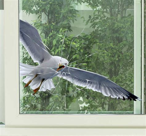 flying bird window sticker tenstickers