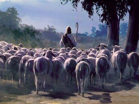 parable   sheep   goats finally unveiled salvation  grace  faith