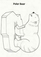 Coloring Animals Polar Pages Winter Preschool Arctic Bear Animal Artic Polo Norte Medvěd Printable Kids Templates Alaska Antarctic Crafts Theme sketch template