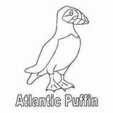 Puffin Momjunction sketch template