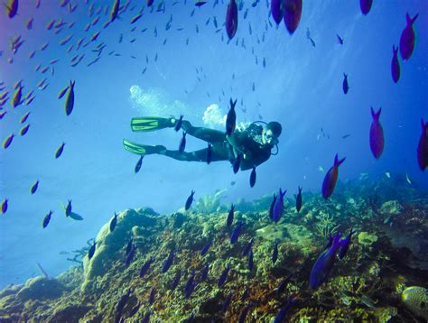 scuba diving sites in the dominican republic passion