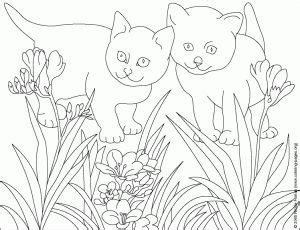 httpwwwflower coloring pagescomanimal coloring pageshtml