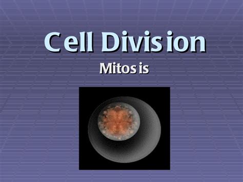 mitosis powerpoint