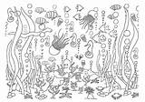 Underwater Animals Diythought Kinder Zee Relief Malvorlagen Linienpapier sketch template