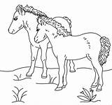 Ponies Kucyk Kolorowanki Cavalo Dzieci Bestcoloringpagesforkids Coloringfolder sketch template