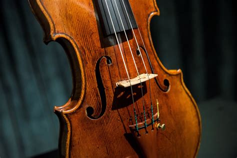 ditch  stradivarius  violins sound  study art culture  jakarta post