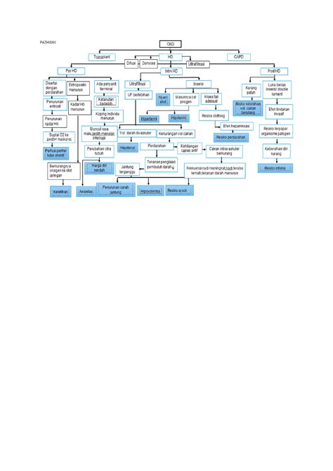 pathway ckd nursing studocu