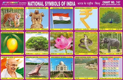 spectrum educational charts chart  national symbols  india